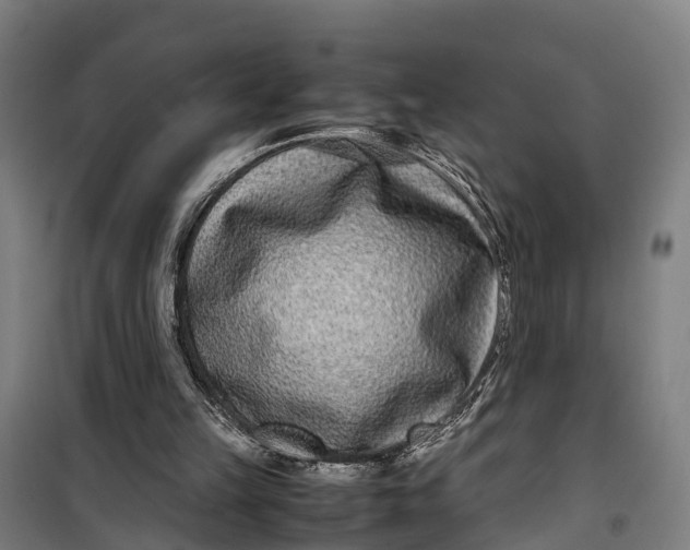 X0000099550149200806061525