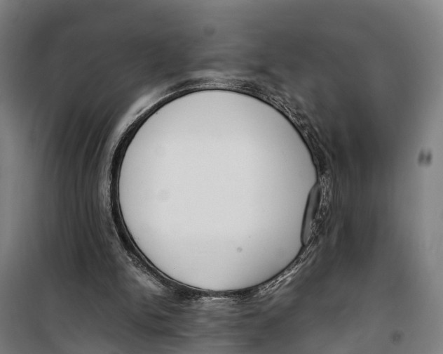 X0000099550150200806061525