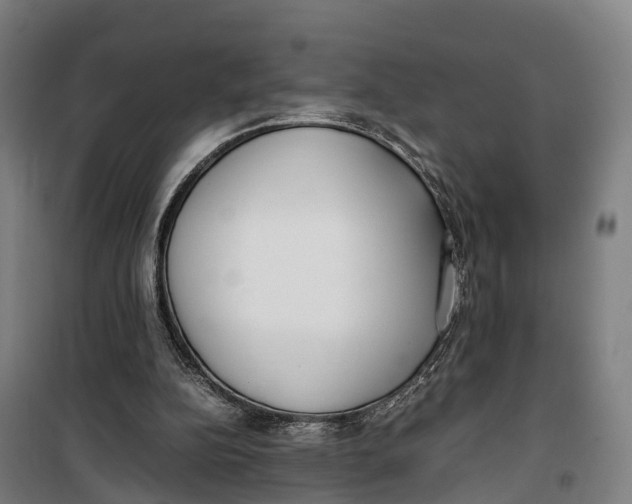 X0000099550152200806061525