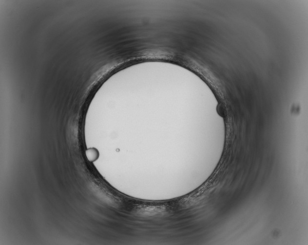 X0000099550155200806061525