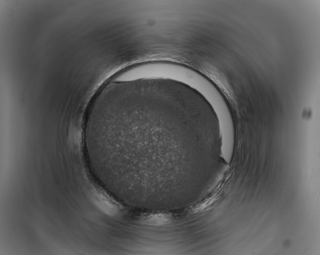 X0000099550156200806061525