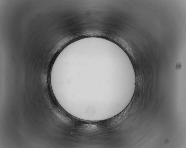 X0000099550159200806061525