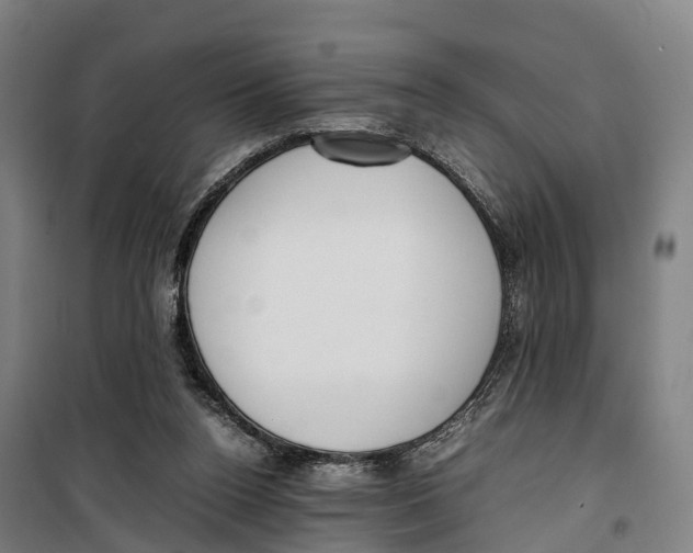 X0000099550160200806061525