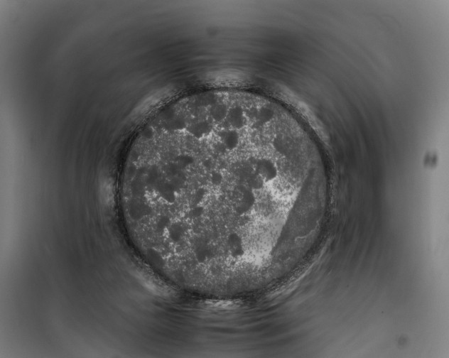 X0000099550161200806061525