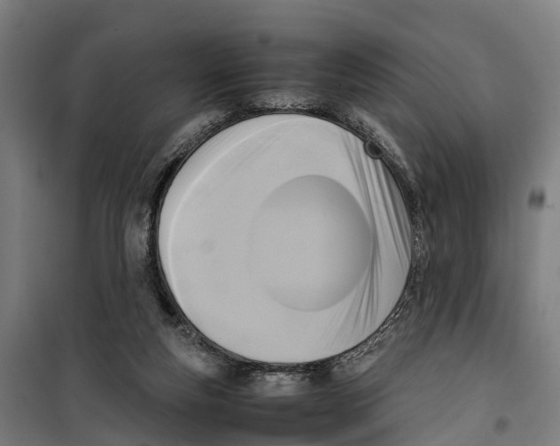 X0000099550163200806061525