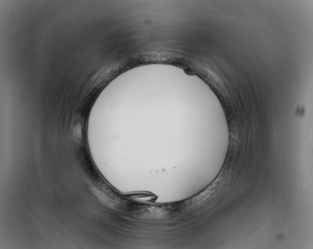 X0000099550166200806061525