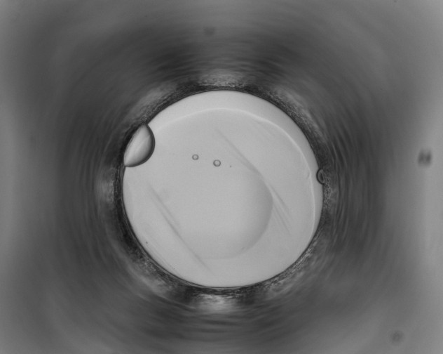 X0000099550167200806061525