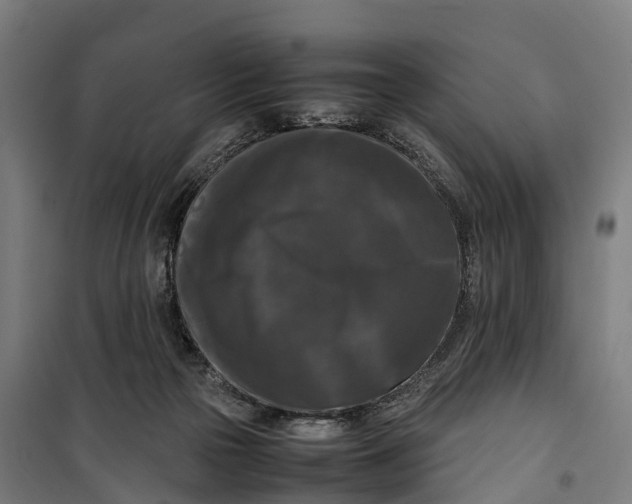 X0000099550169200806061525