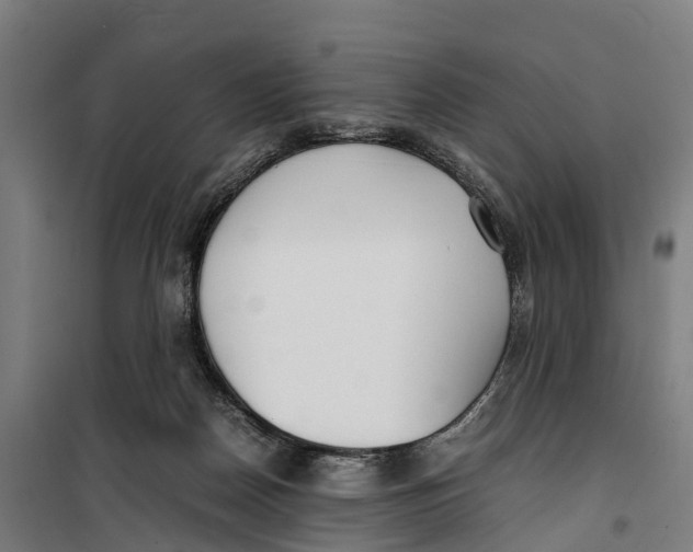 X0000099550170200806061525