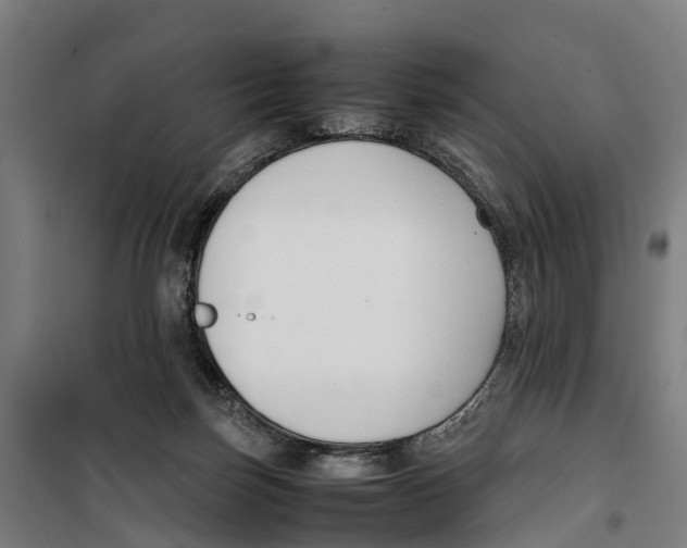 X0000099550171200806061525