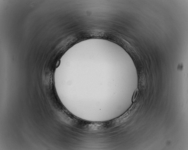 X0000099550172200806061525