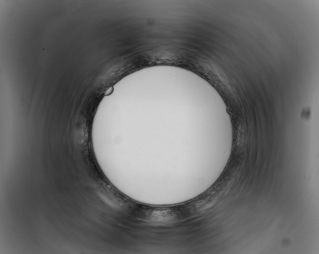 X0000099550173200806061525