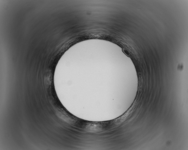 X0000099550174200806061525