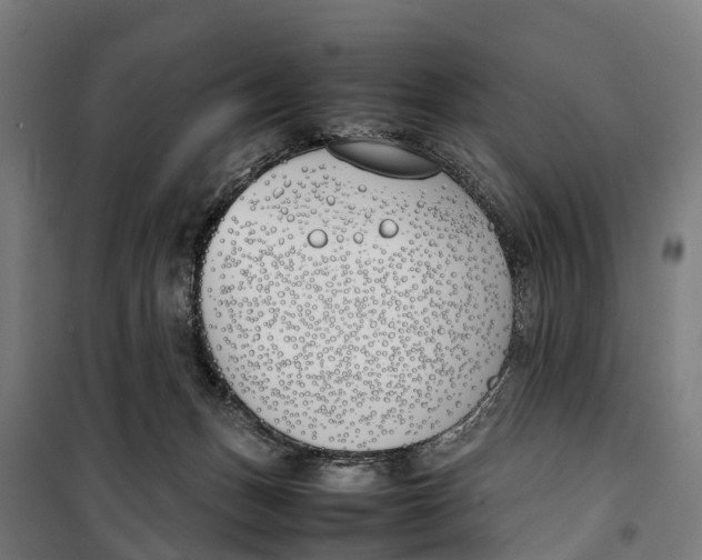 X0000099550175200806061525