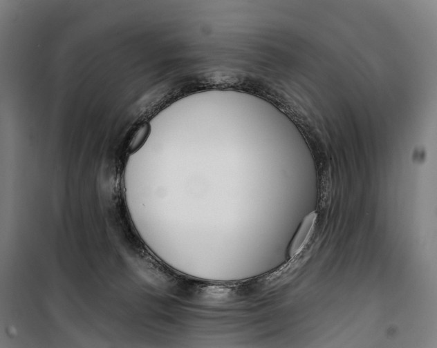 X0000099550176200806061525