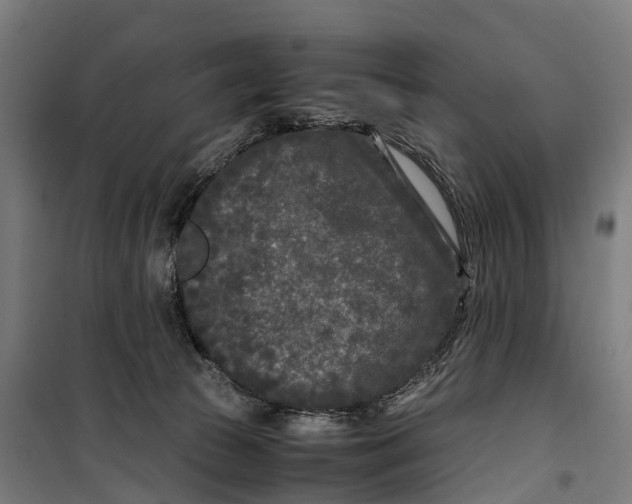 X0000099550177200806061525