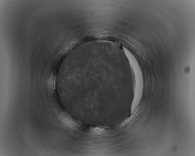 X0000099550180200806061525