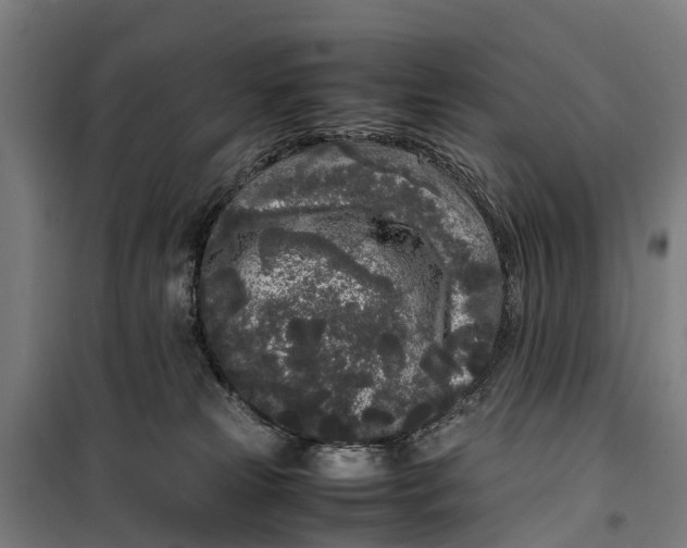 X0000099550181200806061525