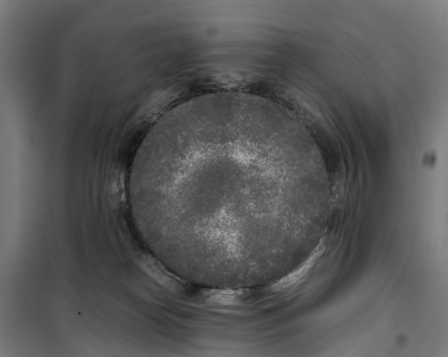 X0000099550182200806061525