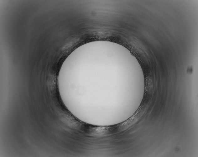 X0000099550184200806061525