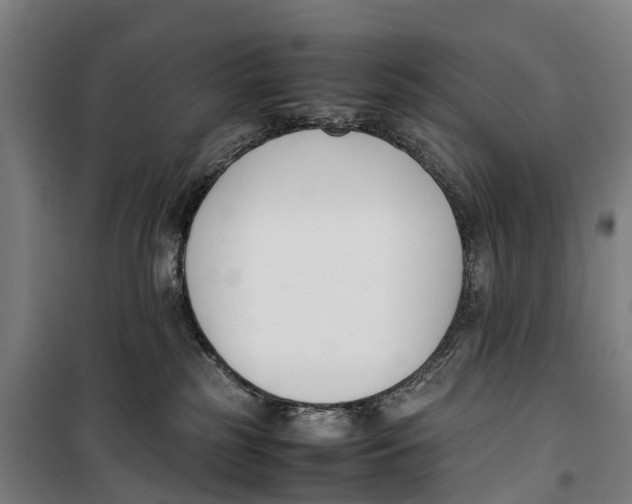 X0000099550185200806061525