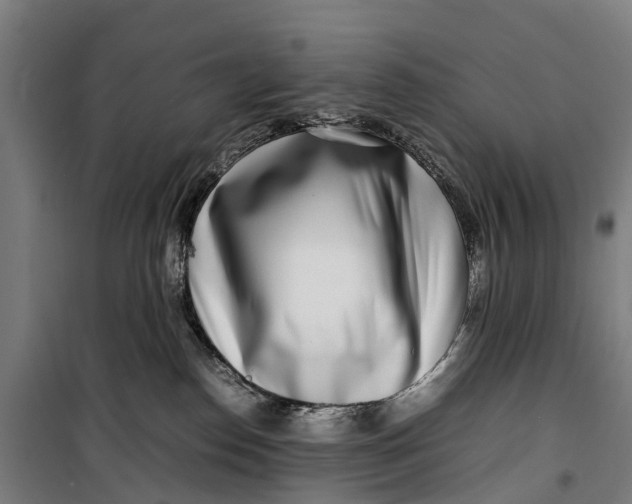 X0000099550186200806061525