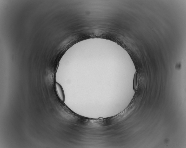 X0000099550188200806061525