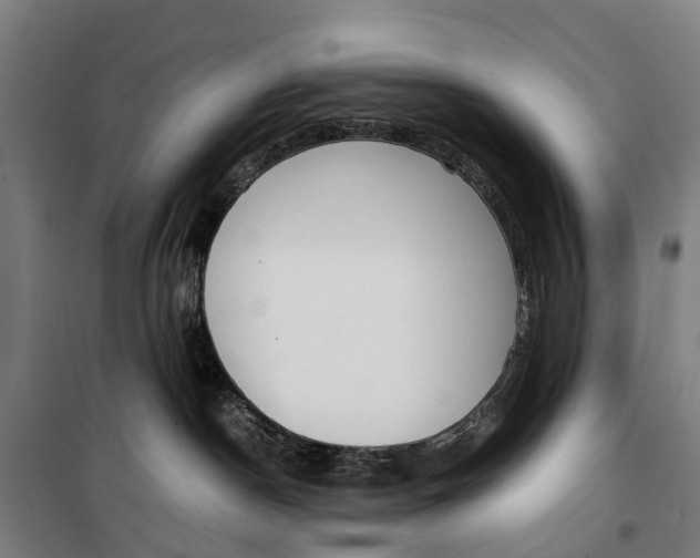 X0000099550190200806061525