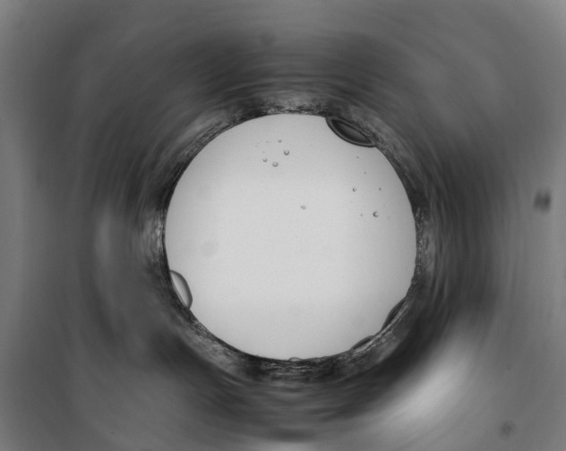 X0000099550191200806061525