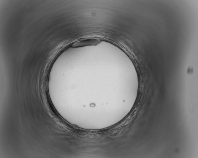 X0000099550193200806061525