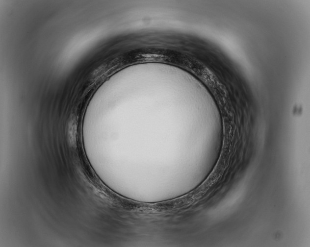 X0000099550194200806061525