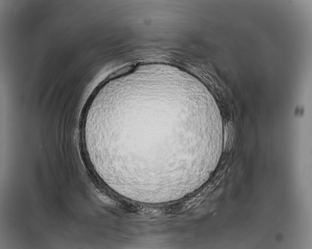 X0000099550195200806061525