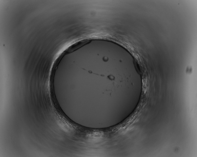 X0000099550196200806061525