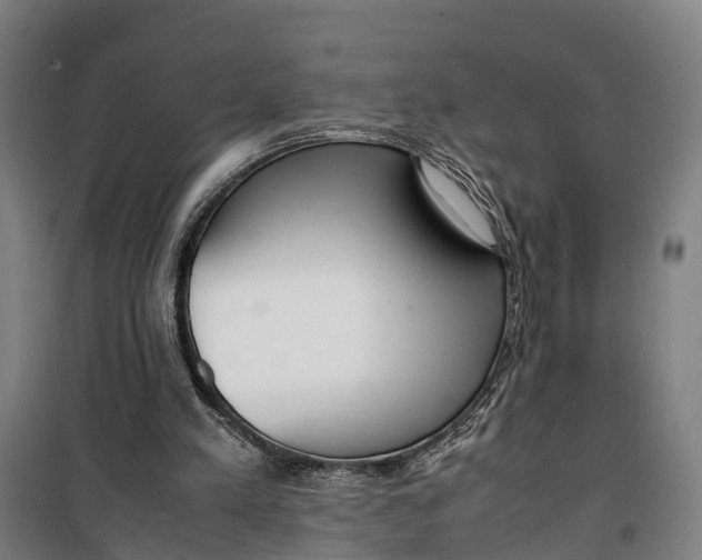 X0000099550197200806061525