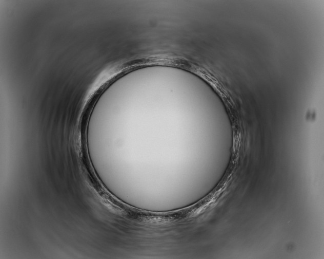 X0000099550198200806061525