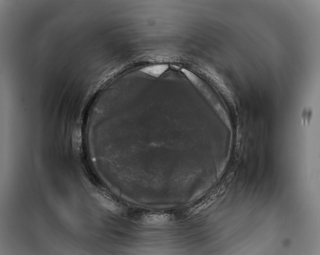 X0000099550202200806061524