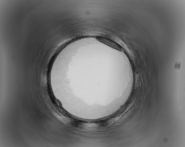 X0000099550203200806061524