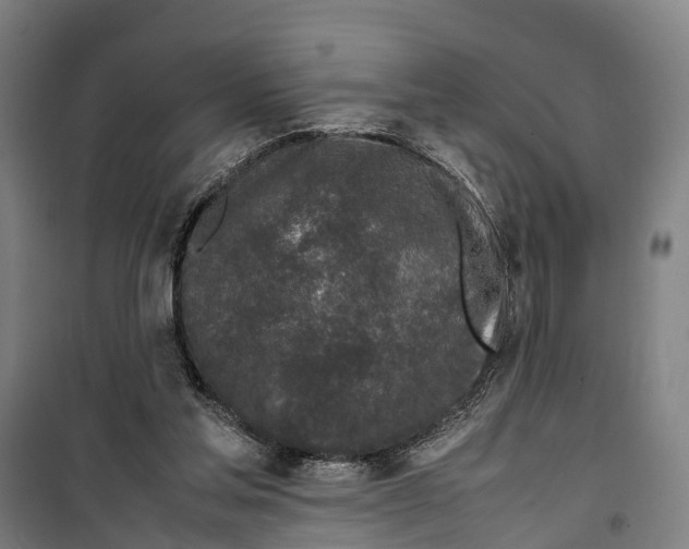 X0000099550205200806061524