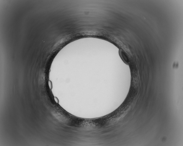 X0000099550207200806061524