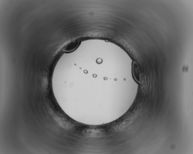 X0000099550208200806061524