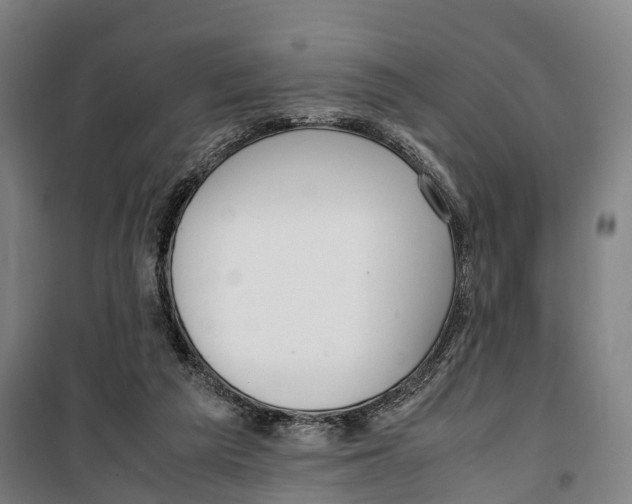 X0000099550209200806061524