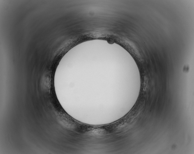 X0000099550210200806061524