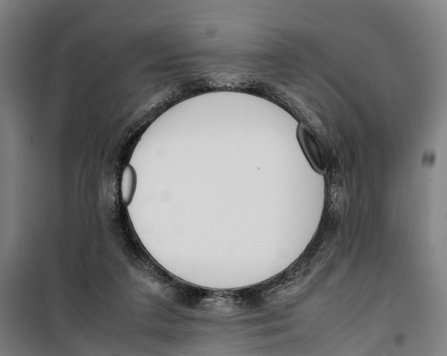 X0000099550211200806061524