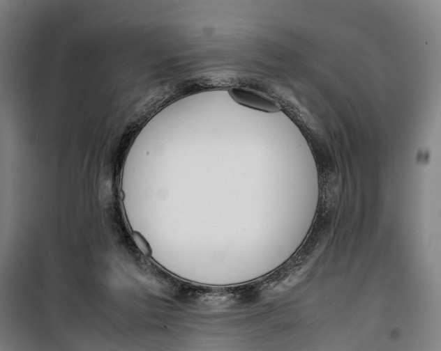 X0000099550213200806061524