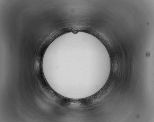 X0000099550214200806061524