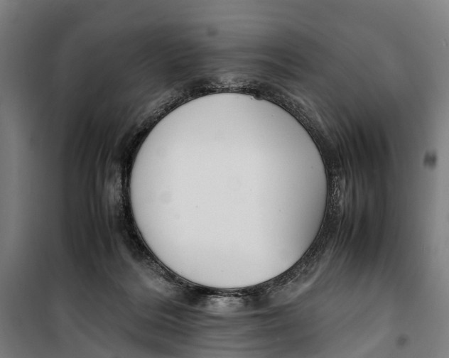 X0000099550220200806061524