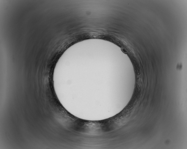 X0000099550221200806061524