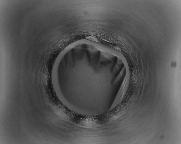 X0000099550223200806061524