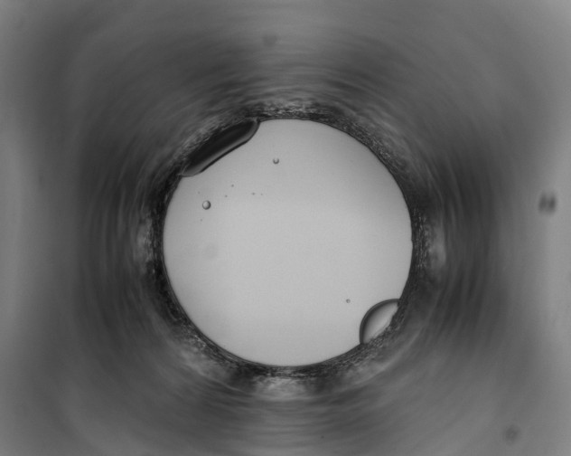 X0000099550224200806061524