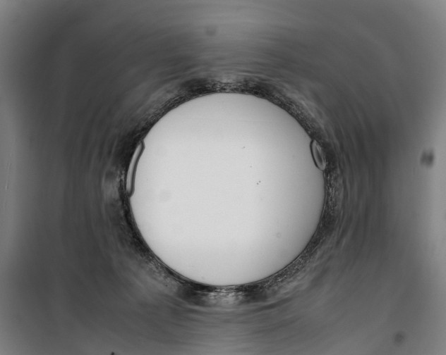 X0000099550225200806061524